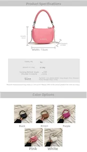 Spécifications détaillées de taille et options de couleur pour le mini sac selle