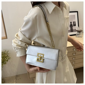 Silver chain bag with gold buckle detail shown on a model in a minimalist setting