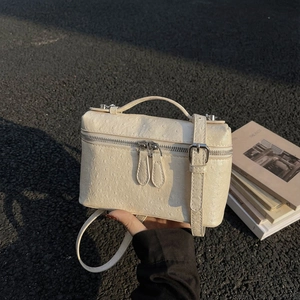Chic beige ostrich texture vanity box bag with silver hardware and top handle