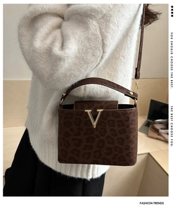 Leopard print crossbody box bag with gold V hardware shown in a lifestyle setting