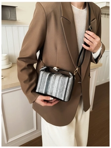 Detail of striped woven shoulder bag with gold clasp and textured black and white pattern