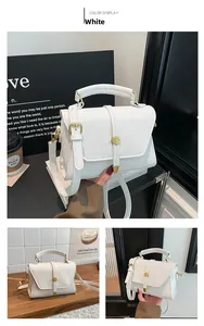 Detail of white litchi pattern texture and gold metal buckle on square crossbody bag