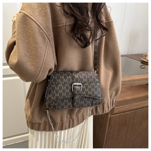 Detail of vintage brown monogram crossbody bag with silver buckle and chain strap