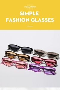 Detail view of multi-colored cat eye sunglasses frames with metallic side accents
