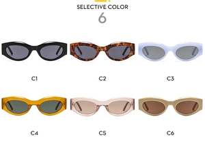 Overview of vintage cat-eye sunglasses in six various colors from C1 to C6