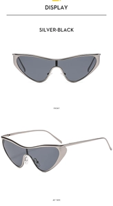 Front and side view of cat-eye shield sunglasses with silver metal frames and dark lenses