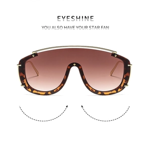 Détail de lunettes de soleil léopard avec verres dégradés thé et barre en métal doré