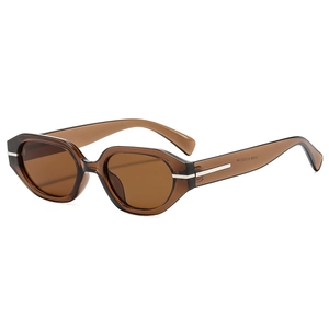 Lunettes de soleil ovales marron translucide avec détails argentés sur fond blanc