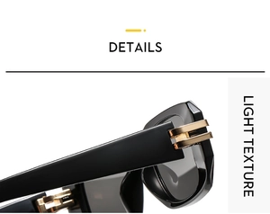 Detailaufnahme der schwarzen Fassung mit eleganten goldenen Doppelscharnieren an der Sonnenbrille