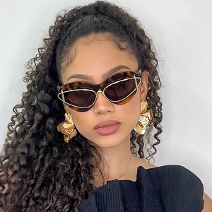 Cat Eye Sunglasses For Women Oversized Metal Trim PC Frame UV400 Protection Trendy Fashion Outdoor Eyewear