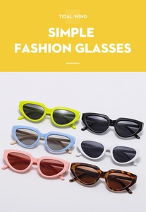 Flat lay of trendy Y2K cat-eye sunglasses in six various colors with thick plastic frames