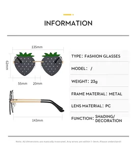 Guide des tailles de lunettes fraise montrant la monture métal et les verres PC