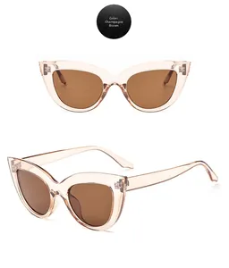 Detail view of champagne cat-eye sunglasses with transparent frames and tea-colored lenses