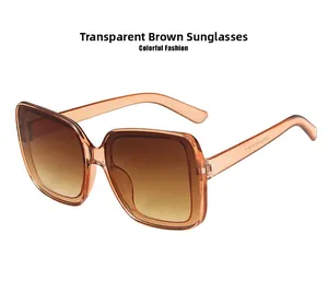 Detailed inner view of oversized transparent tea sunglasses with model number engraving
