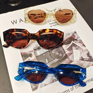 Stylish geometric cat eye sunglasses in champagne, tortoiseshell, and transparent blue colors