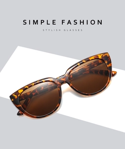 Detailed view of leopard print cat-eye frames with model ZN3569 specifications