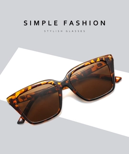 Close-up of tortoise shell square sunglasses with brown lenses and metal hinge details