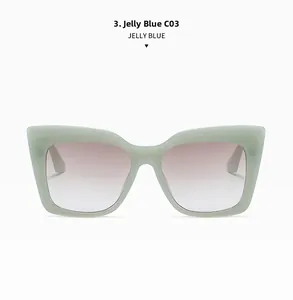 Vorderansicht der Cat-Eye-Sonnenbrille in Jelly-Blau mit lila Verlaufsgläsern C03