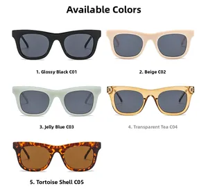 Lunettes de soleil carrées en cinq couleurs : noir, beige, bleu, thé transparent et écaille