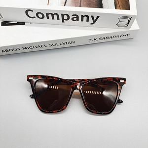 Detail of tortoise shell sunglasses frame with silver metal accents and brown lenses
