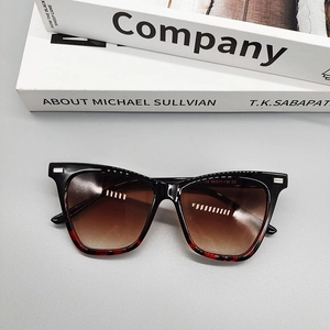 Macro detail of cat-eye sunglasses with tortoiseshell accents and silver decorative studs
