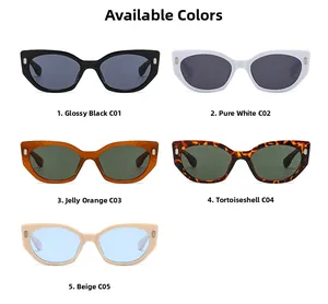 Detailansicht der Cat-Eye-Sonnenbrille mit verschiedenen Farboptionen von C01 bis C05