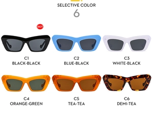 Detailed catalog showing 6 stylish cat eye sunglasses in various frame and lens colors