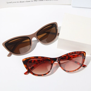 Brown and tortoiseshell cat eye sunglasses with gradient lenses in a stylish 2-pack set