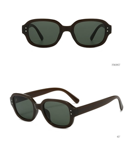 Detail view of retro oval sunglasses in dark brown with metal dots at front and 45 degree angles