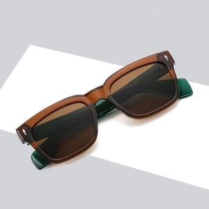 Retro small frame leopard sunglasses for men with silver arrow metal accents and UV400