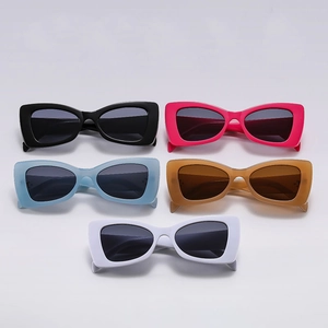 Retro Butterfly Cat Eye Sunglasses UV400 Protection Irregular PC Frame Resin Lens Fashion Y2K Eyewear For Men Women