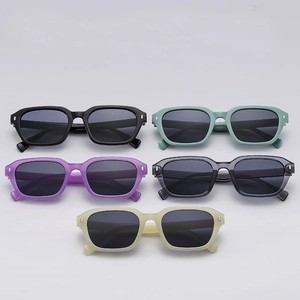Retro Square Sunglasses UV400 Protection PC Frame AC Lens Vintage Fashion Eyewear For Men Women Outdoor Driving