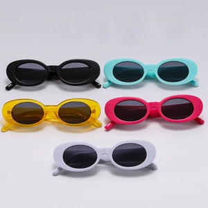 Lunettes De Soleil Ovales Rétro Mode Vintage Protection UV400 Monture PC Lentille Résine Pour Femmes Hommes Lunettes