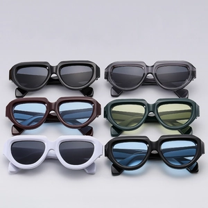 Irregular Geometric Sunglasses Thick PC Frame AC Lens UV400 Protective Fashion Shades For Men Women Retro Trend Style