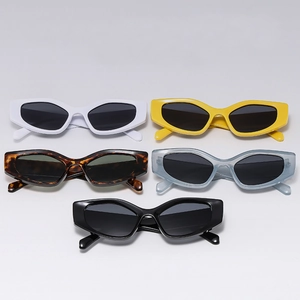 Lunettes De Soleil Oeil De Chat Vintage Polygone Géométrique Monture PC Verre AC Protection UV400 Mode De Rue Pour Femmes Hommes
