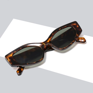 Lunettes de soleil œil de chat polygone rétro écaillé avec verres gris foncé style Y2K