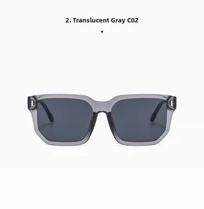 Detailed view of square transparent grey sunglasses with C02 model number and metal hinges