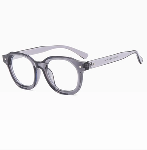Detail view of transparent grey sunglasses frame featuring silver rivet and model number ZN3115