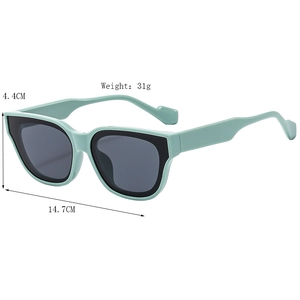 Retro-Sonnenbrille mit mintgrünem Rundrahmen und dunkelgrauen UV-Gläsern für Damen und Herren