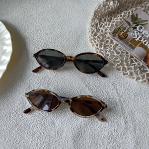Close-up of retro oval sunglasses with tortoiseshell frames and stylish tinted lenses