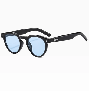 Detailed view of black oval sunglasses with light blue lenses and silver star accents
