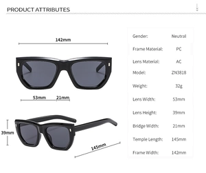 Detailed dimensions of black PC frame sunglasses with model ZN3818 and AC lenses
