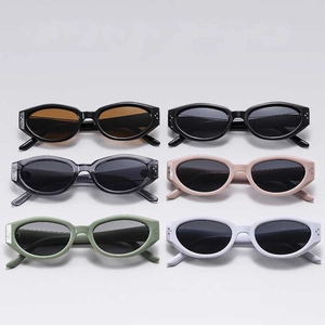 Retro Small Oval Cat Eye Sunglasses For Women UV400 Protection PC Frame AC Lens Fashion Ins Style Sun Glasses Party Travel