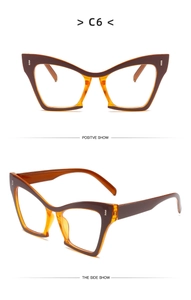Detail view of cat-eye glasses frames in amber and brown C6 colorway with silver accents