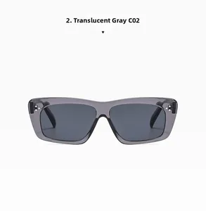 Detailed front view of transparent grey sunglasses with silver rivets and dark grey lenses