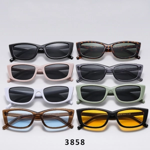 Rectangular Cat Eye Sunglasses Retro PC Frame AC Lens UV Protection Outdoor Fashion Eyewear For Men And Women