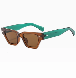Détail de lunettes de soleil en PC marron avec branches turquoise et rivets argentés