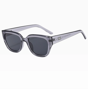 Detail of square sunglasses frame with silver metal link logo on translucent temple