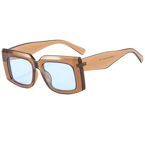 Retro rectangular sunglasses with transparent tea frame and light blue lenses for men and women