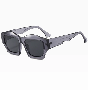 Detail view of smoke gray polygon sunglasses featuring inner temple model code ZN3823